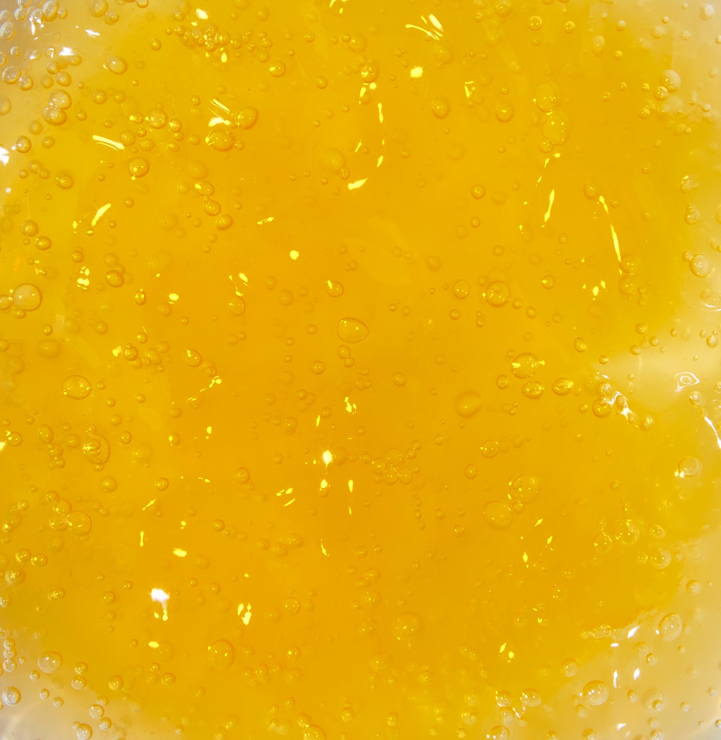 Papaya Radiant Brightening Facial Cleanser, 8oz Glass Bottle: All Natural Cleanser With Willow Bark & Papaya Leaf Extracts - Tereno Botanicals