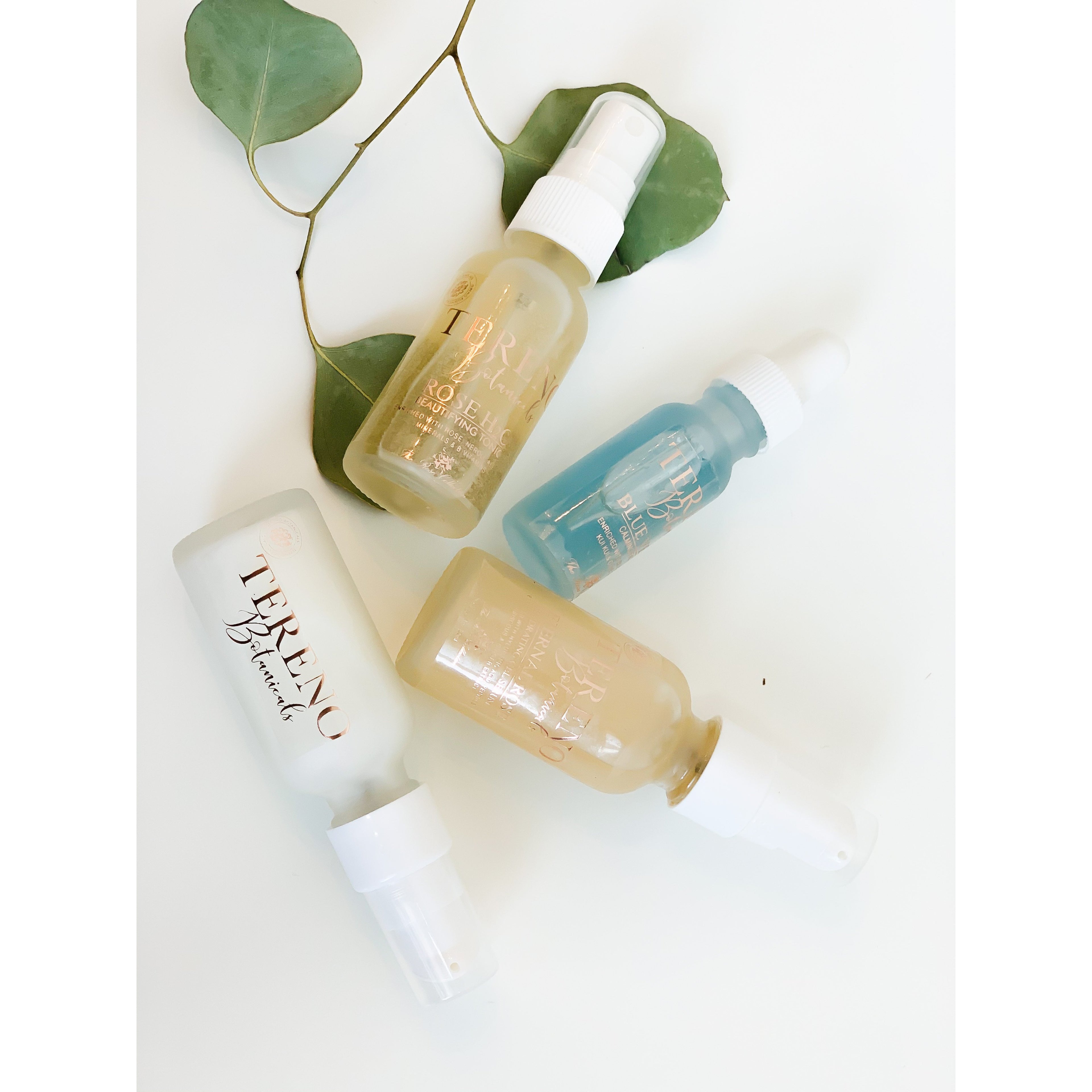 Mini Rose Facial Care Routine Set: Anti-Aging, Hydrating Skincare Set Suitable For All Skin Types Including Eczema Prone Skin - Tereno Botanicals